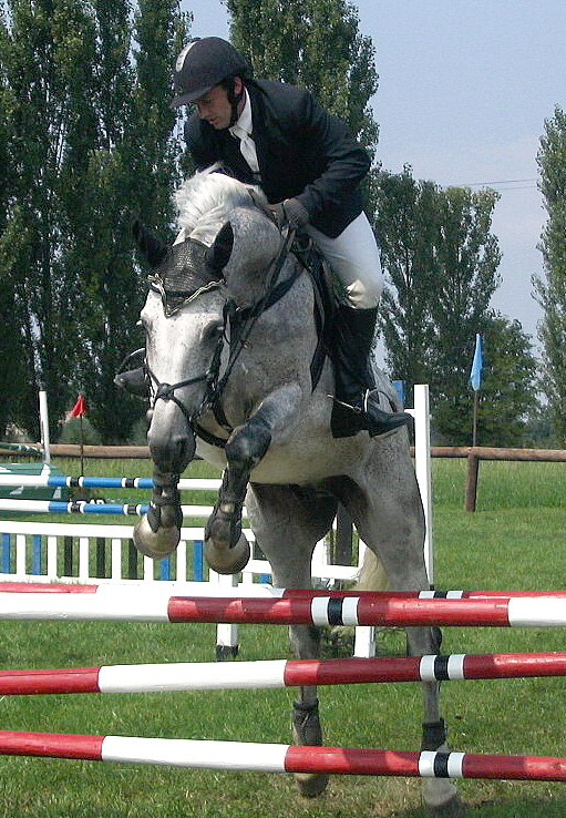 Snímek 152.jpg