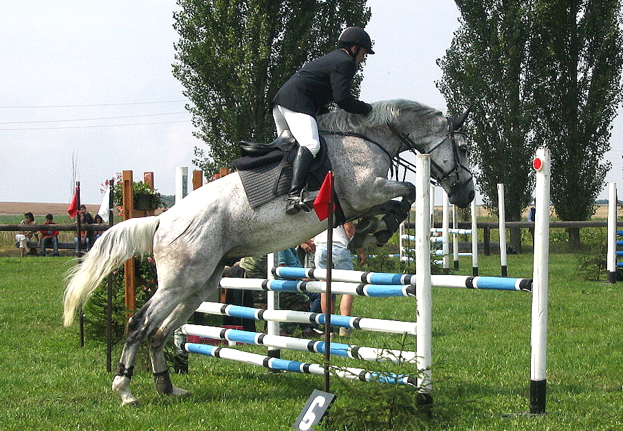Snímek 153.jpg