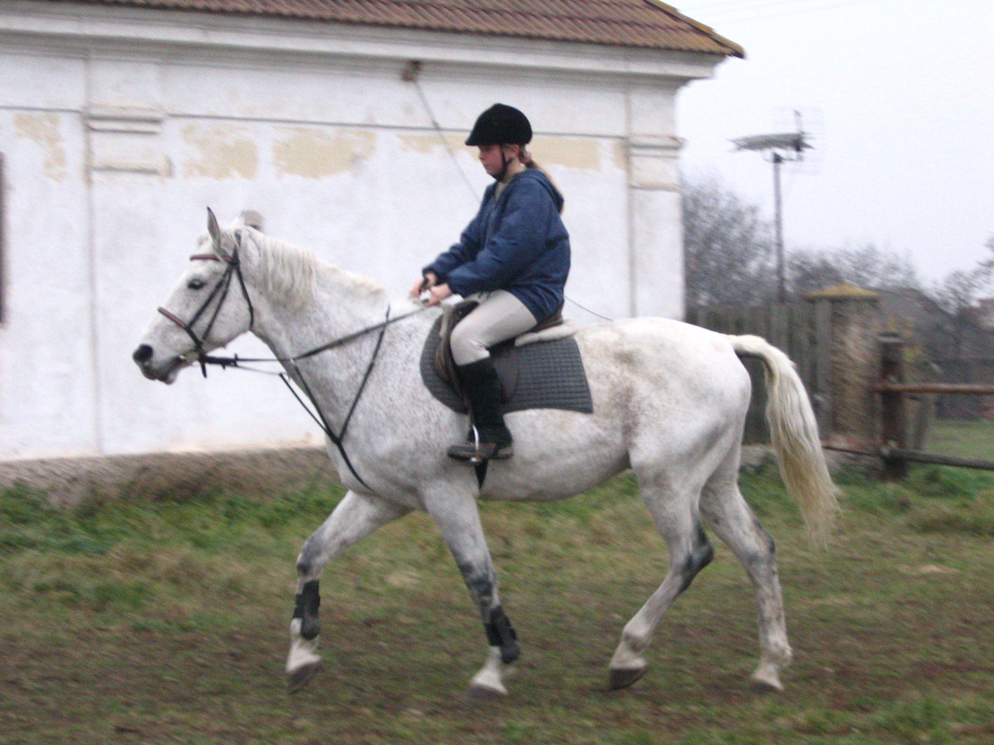Koně a Bára 012.jpg