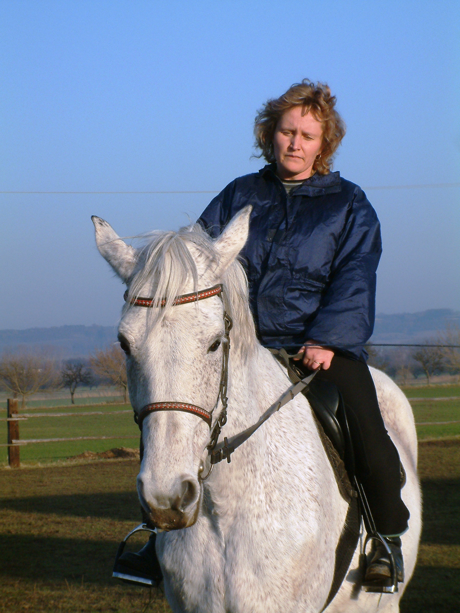 koně 075.jpg