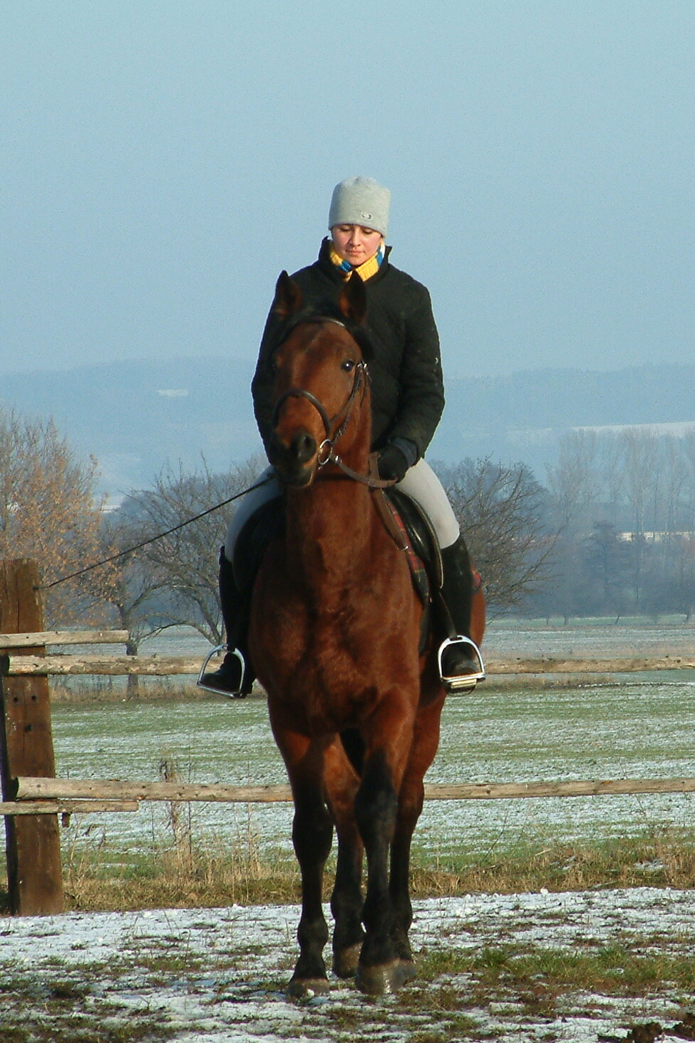 Vánoce 2006 066.jpg
