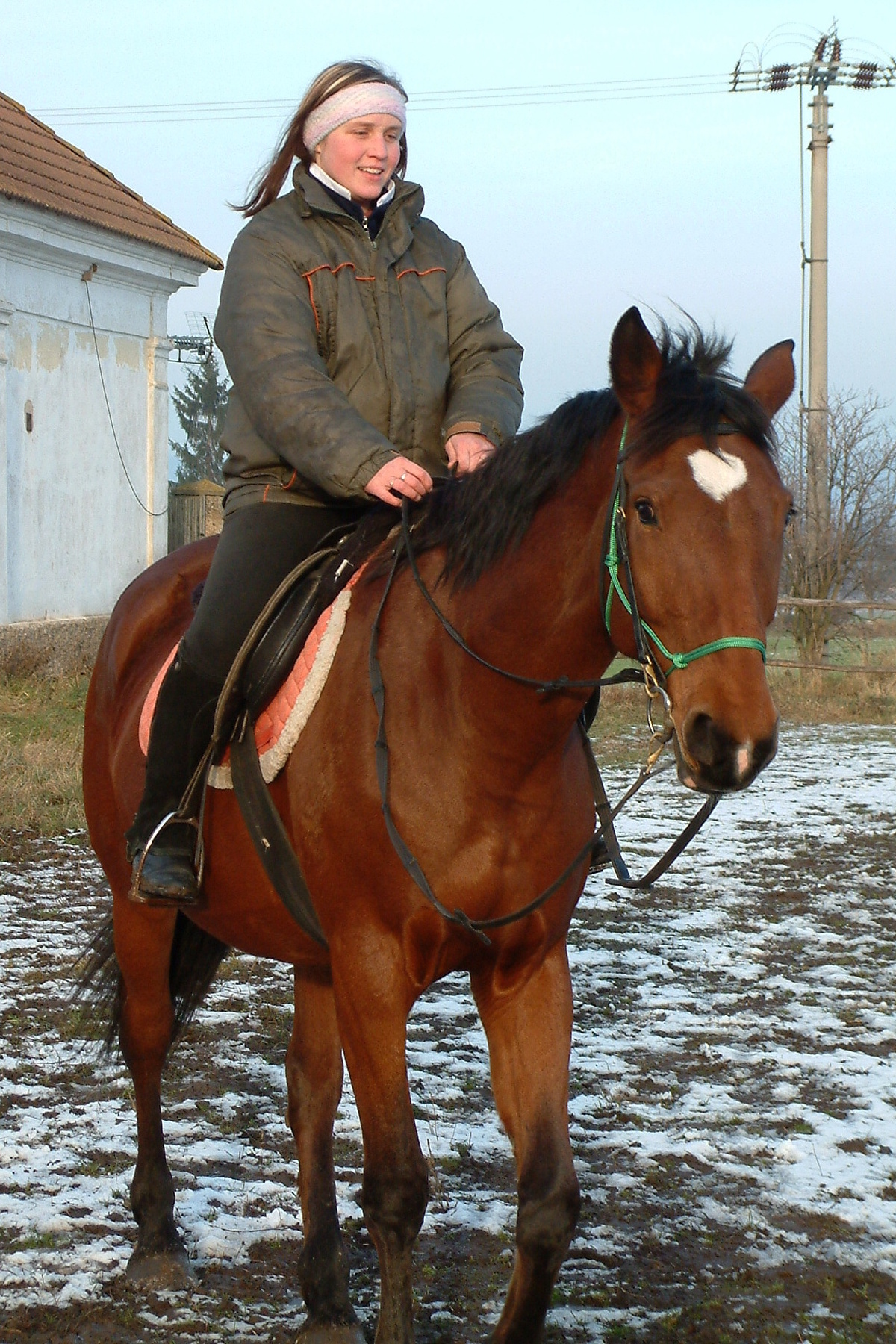 Vánoce 2006 098.jpg