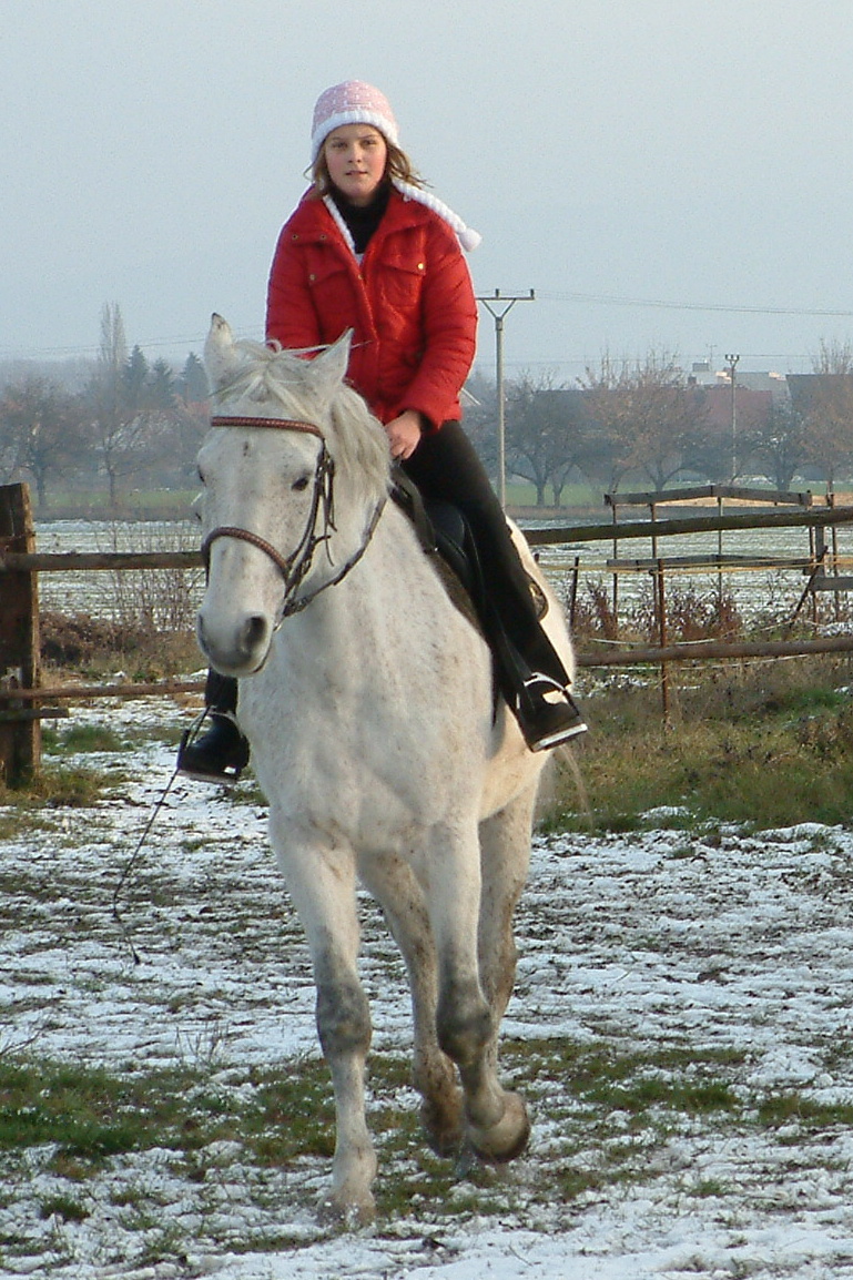 Vánoce 2006 117.jpg