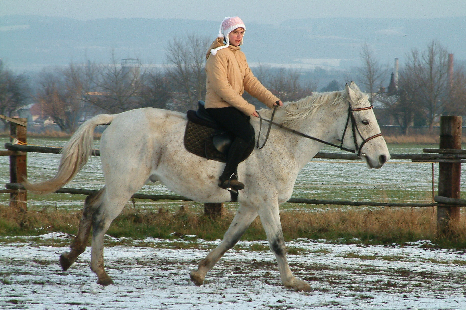 Vánoce 2006 134.jpg