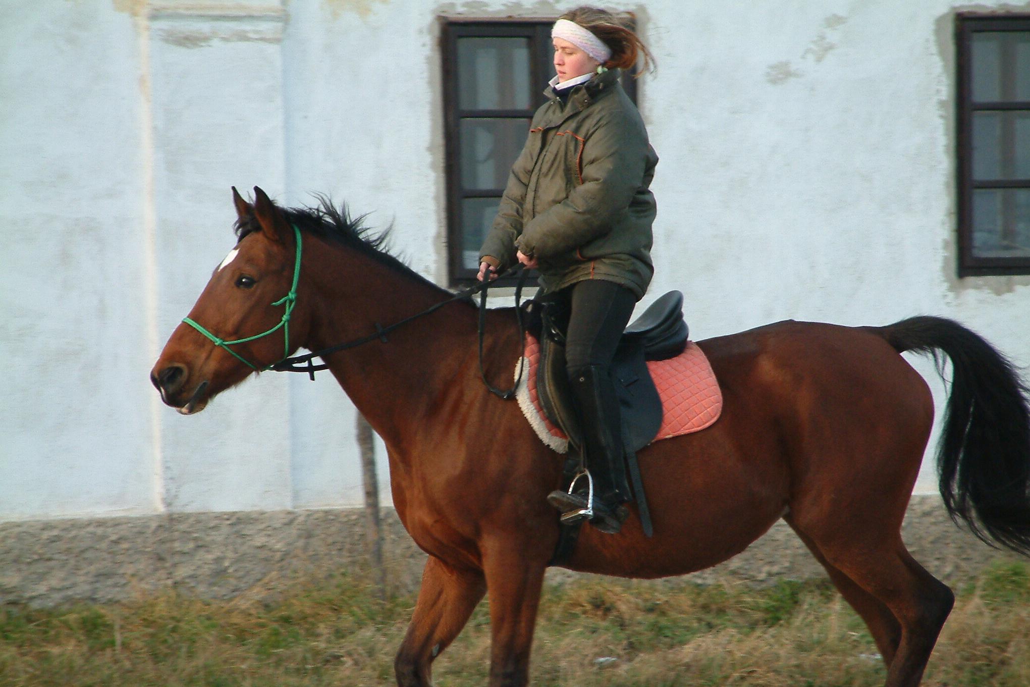 Vánoce 2006 138.jpg