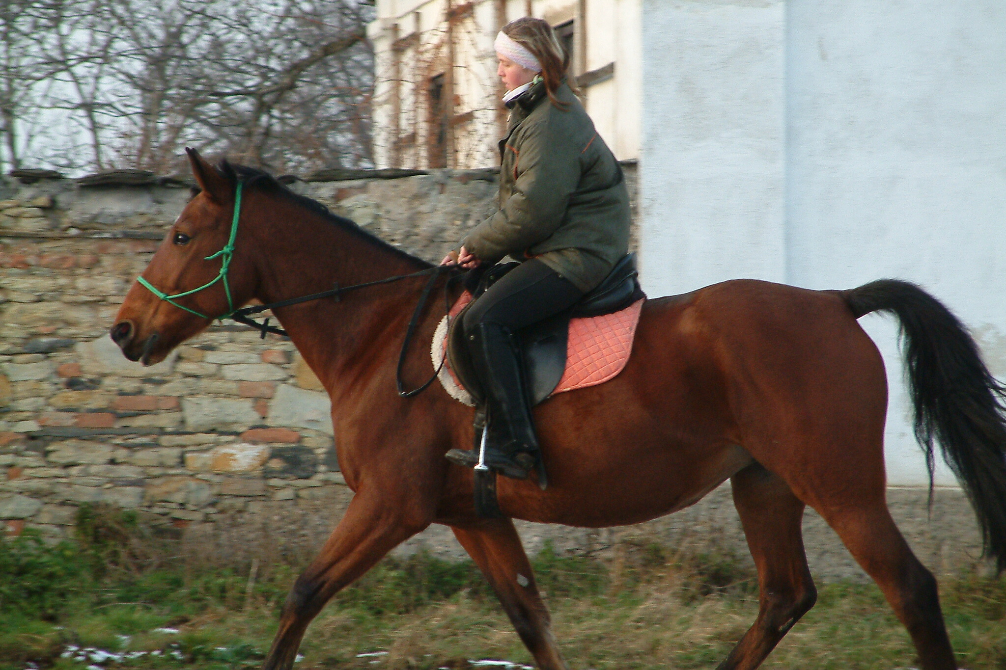 Vánoce 2006 139.jpg