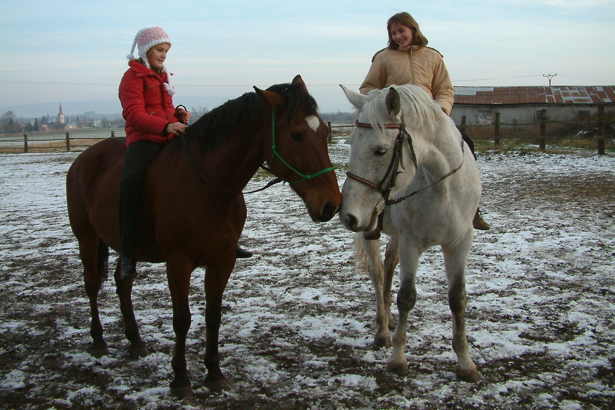 Vánoce 2006 172.jpg
