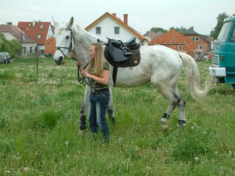 Veřejňák KH 133.jpg
