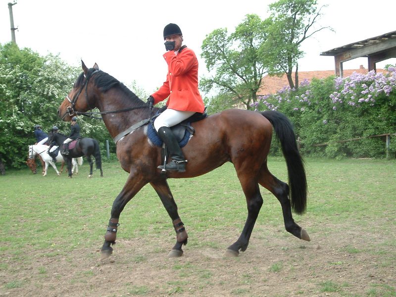 Veřejňák KH 156.jpg