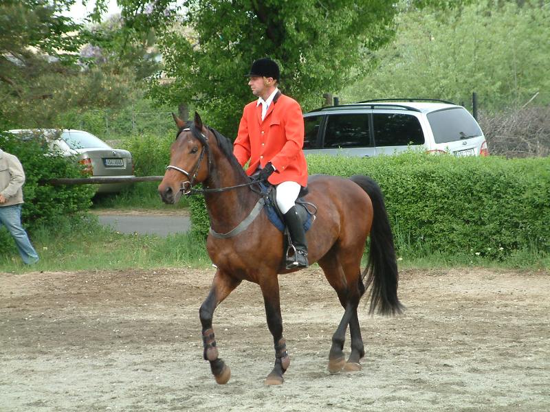 Veřejňák KH 176.jpg