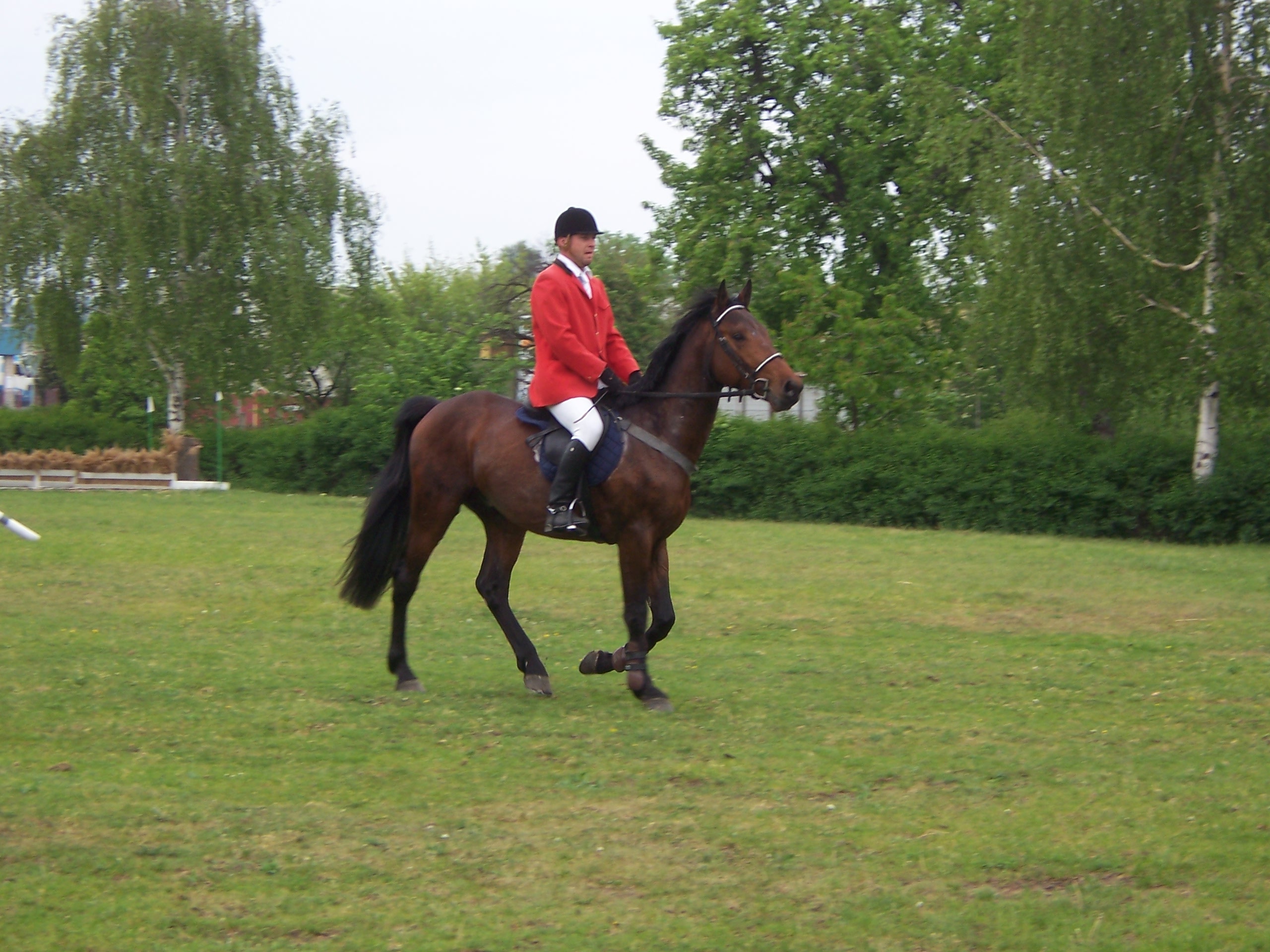 100_3162.JPG
