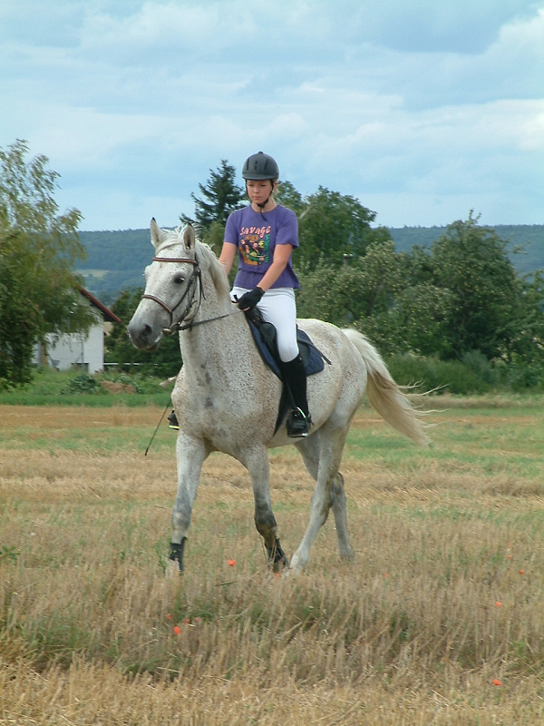 DSCF0024.jpg