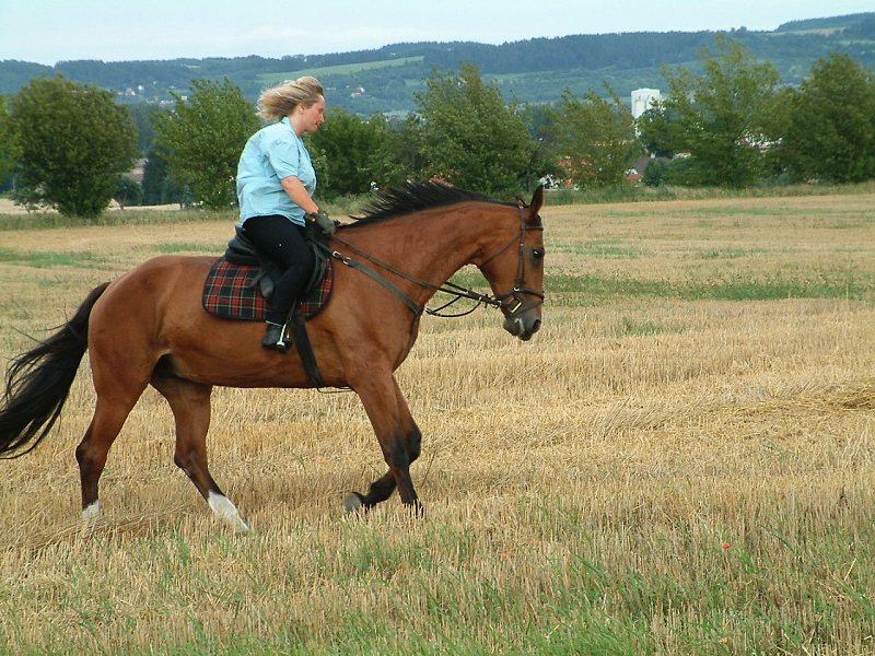 DSCF0036.jpg