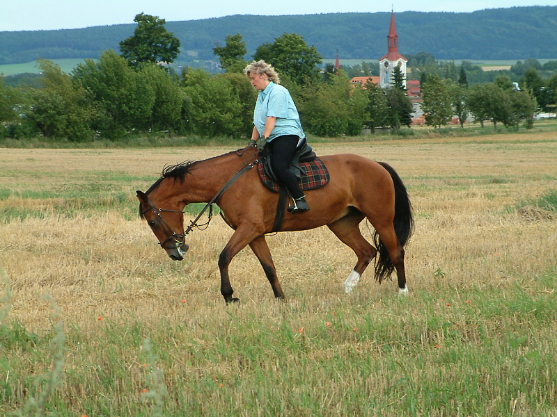 DSCF0039.jpg
