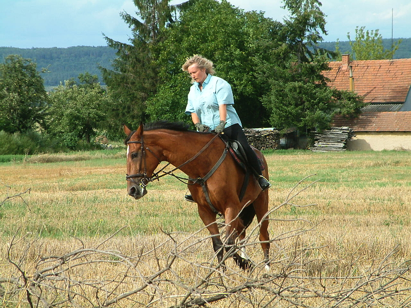 DSCF0052.jpg
