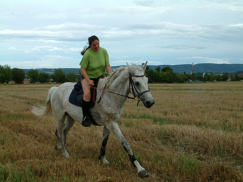 DSCF0072.jpg