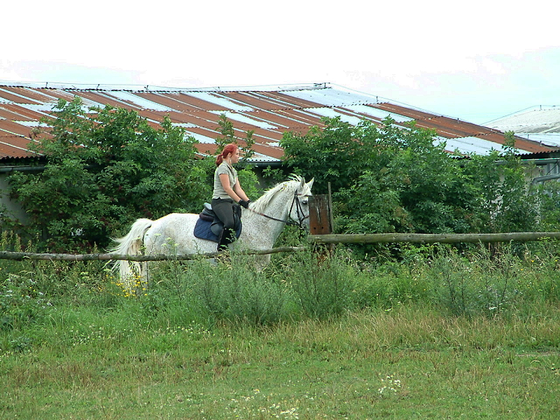 DSCF0090.jpg