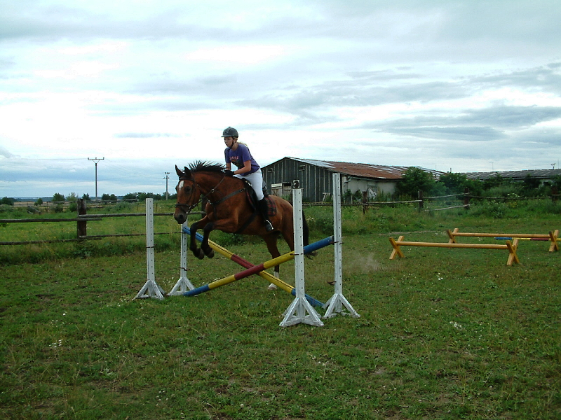 DSCF0095.jpg
