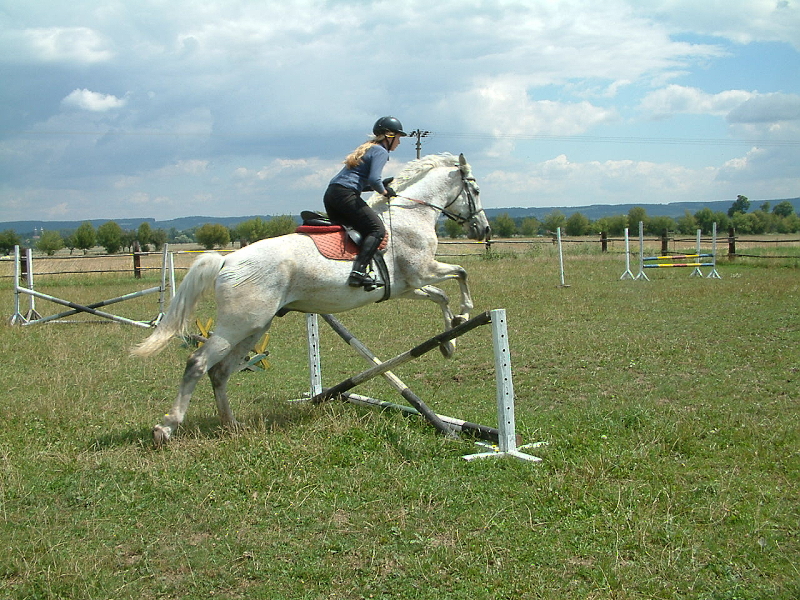 DSCF0117.jpg