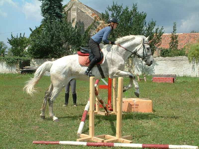 DSCF0119.jpg