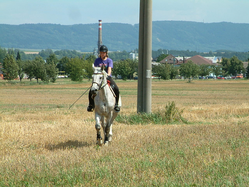 DSCF0193.jpg