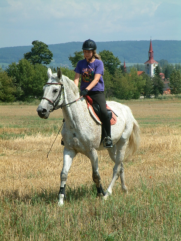 DSCF0194.jpg