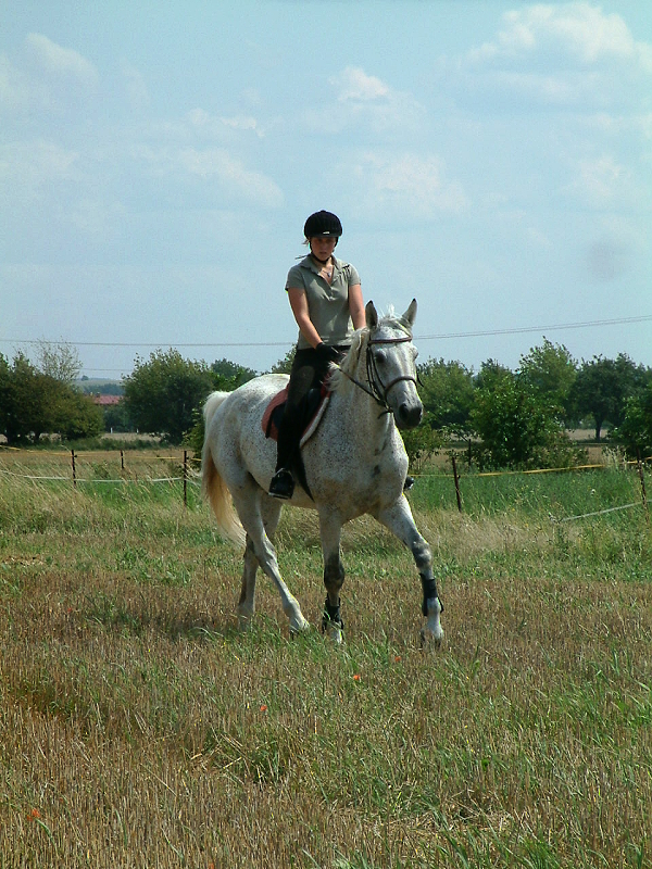 DSCF0198.jpg