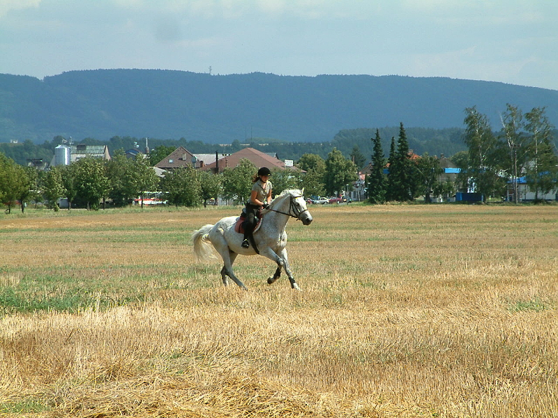DSCF0205.jpg
