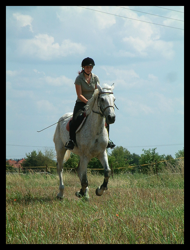 DSCF0206.jpg