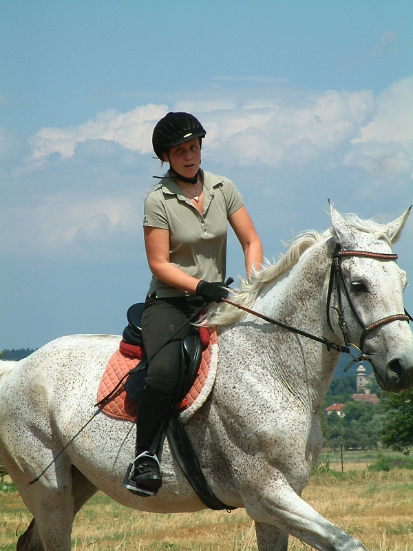 DSCF0208.jpg
