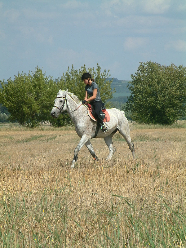 DSCF0212.jpg