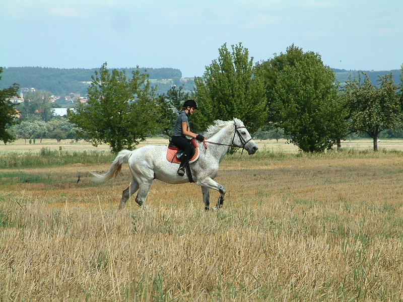 DSCF0215.jpg