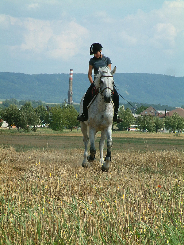 DSCF0218.jpg