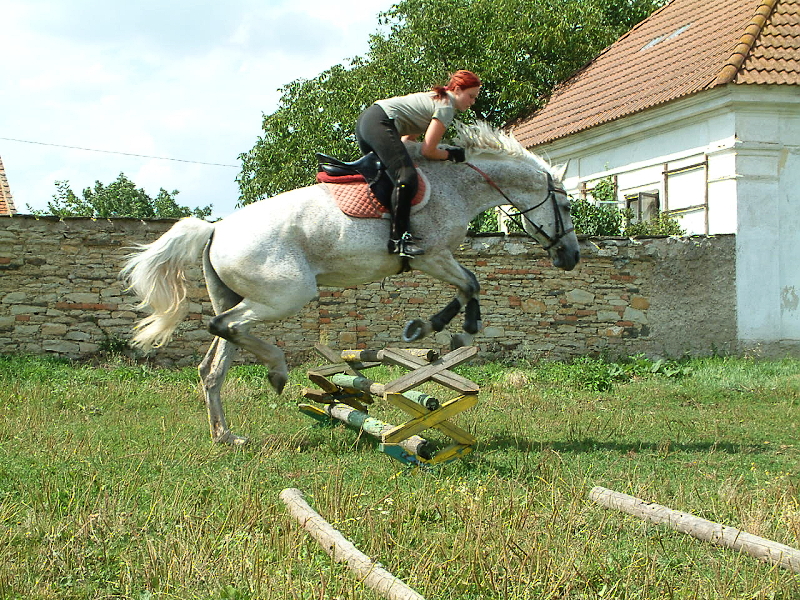 DSCF0223.jpg