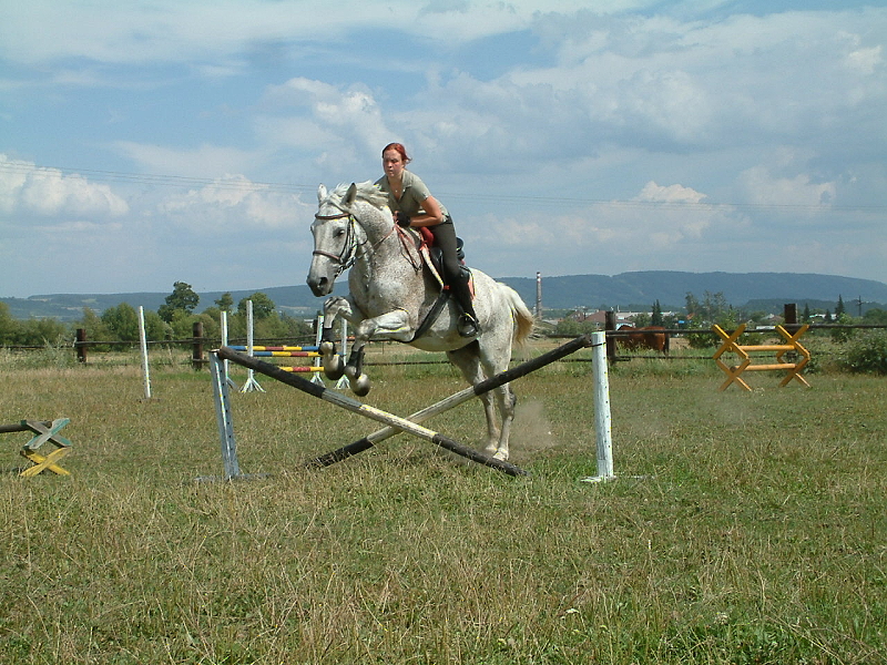 DSCF0225.jpg