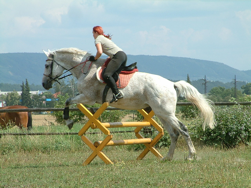 DSCF0226.jpg
