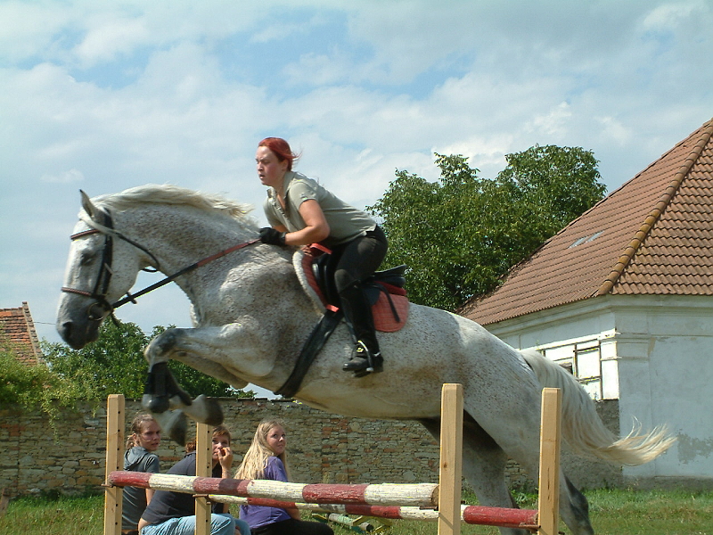 DSCF0228.jpg