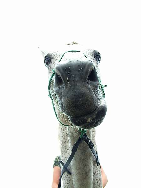 109.jpg
