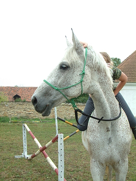 111.jpg