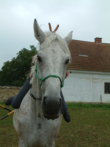 112.jpg