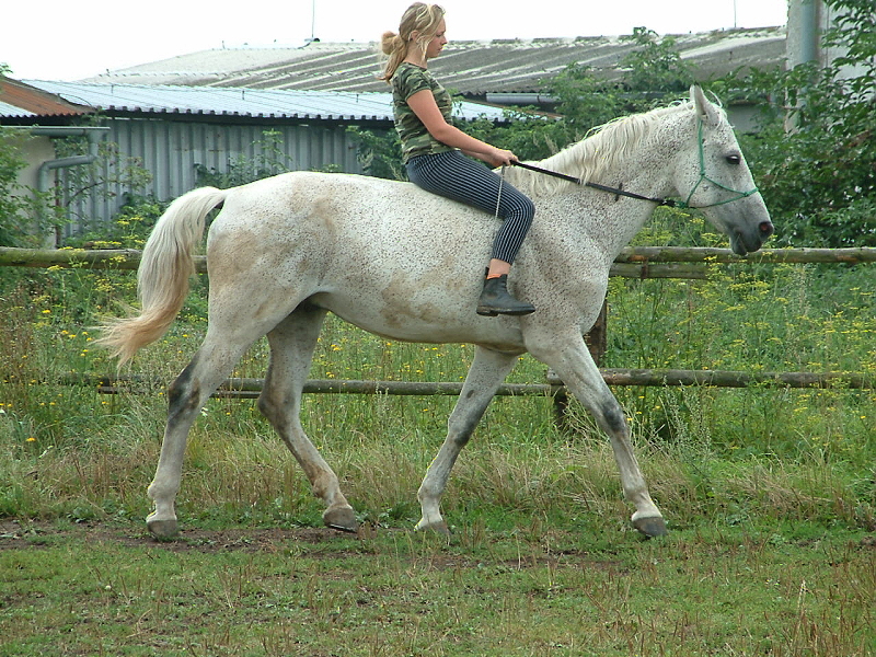124.jpg