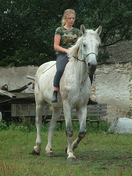 125.jpg