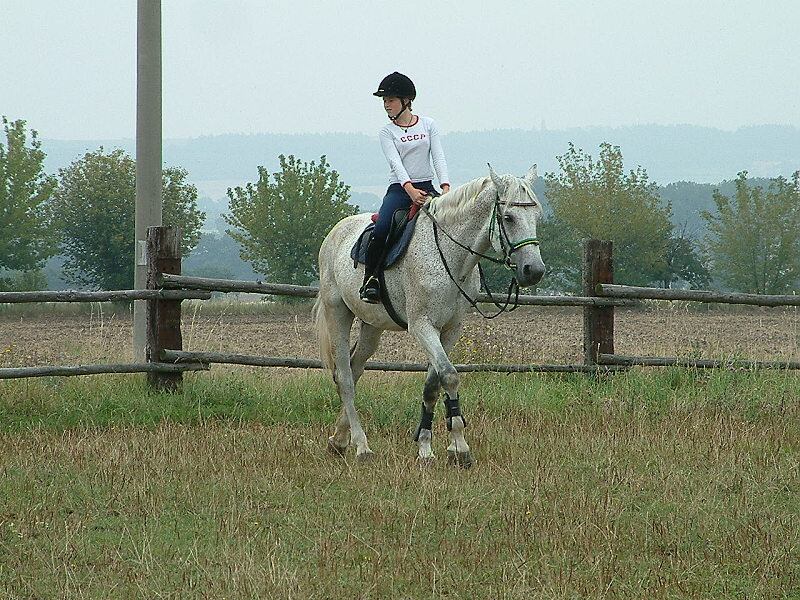 163.jpg