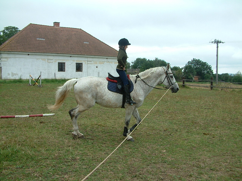 187.jpg