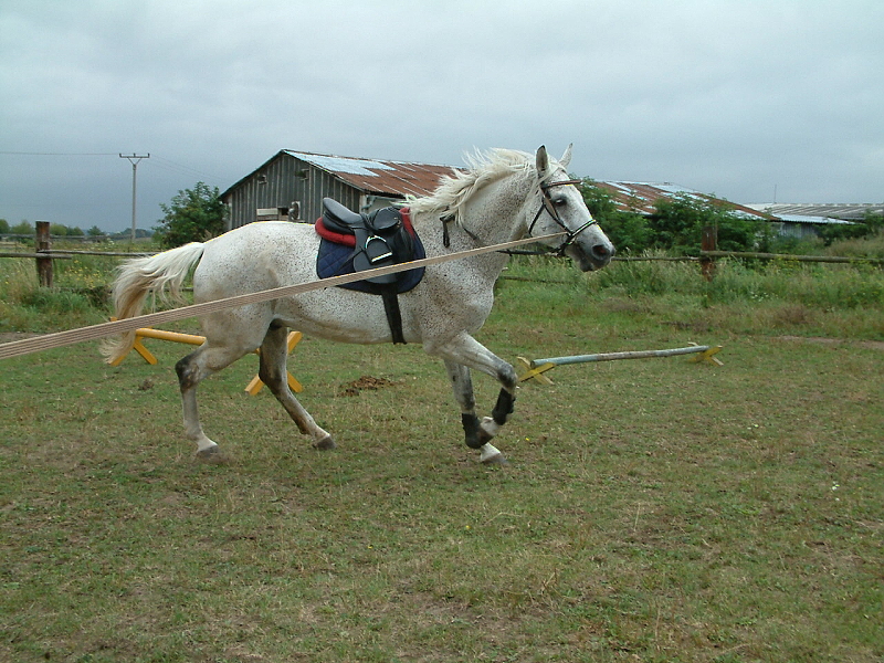 215.jpg