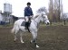 Koně a Bára 026.jpg